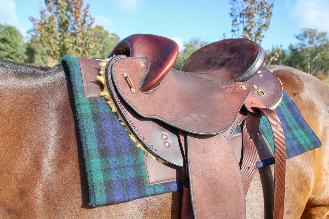 Mathew Murray Campdrafter Saddle Pad – Green & Blue - Image 2