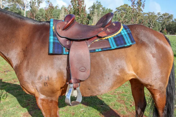 Mathew Murray Campdrafter Saddle Pad – Aqua & Blue