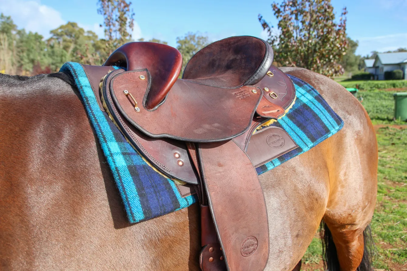Mathew Murray Campdrafter Saddle Pad – Aqua & Blue - Image 2