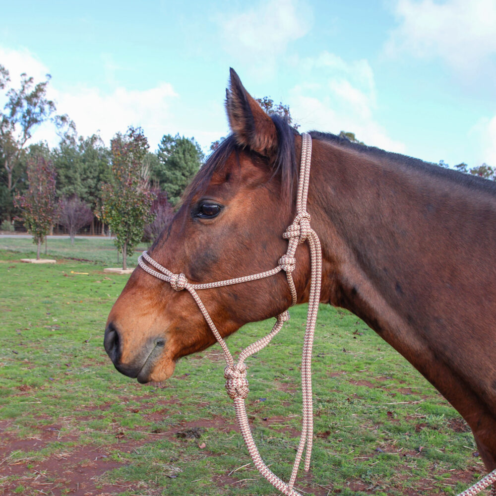 Rope Halter