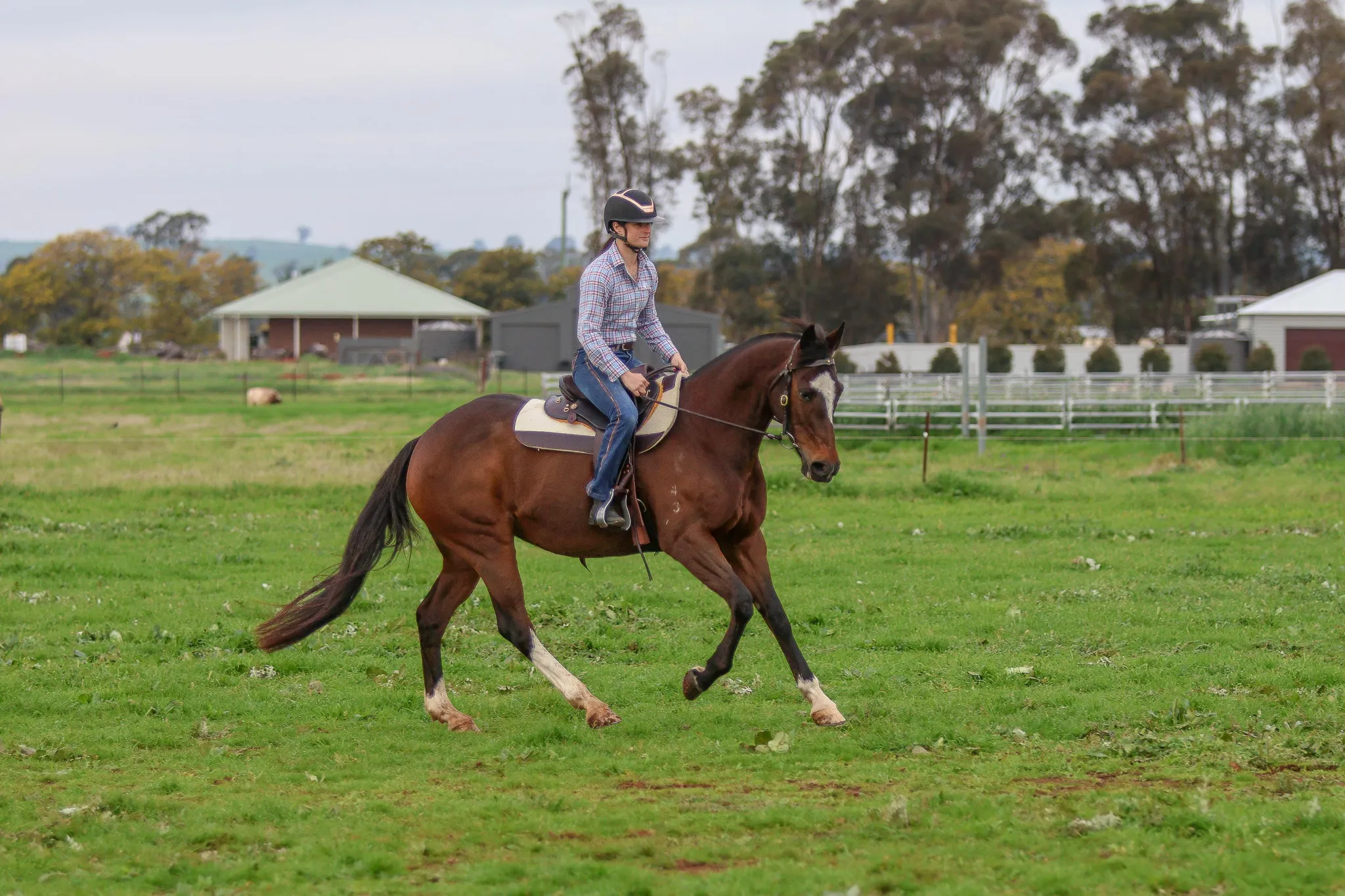 Mathew Murray Latigo Reins - Image 2