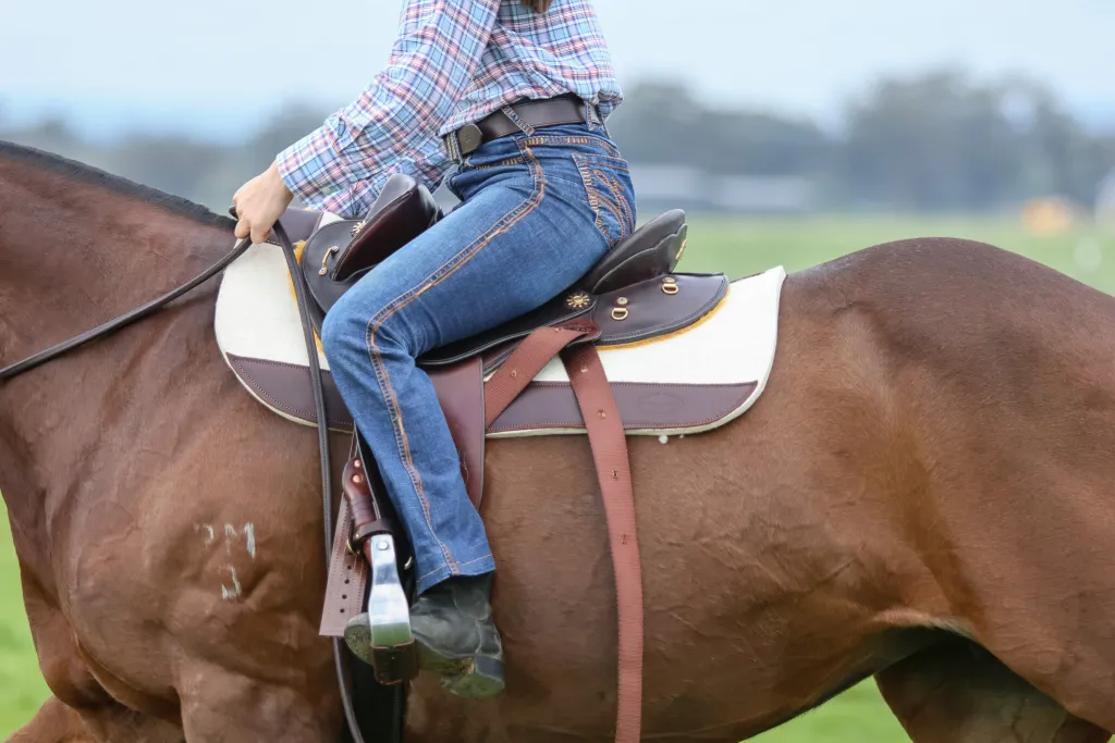The Dressage Fender - Image 5