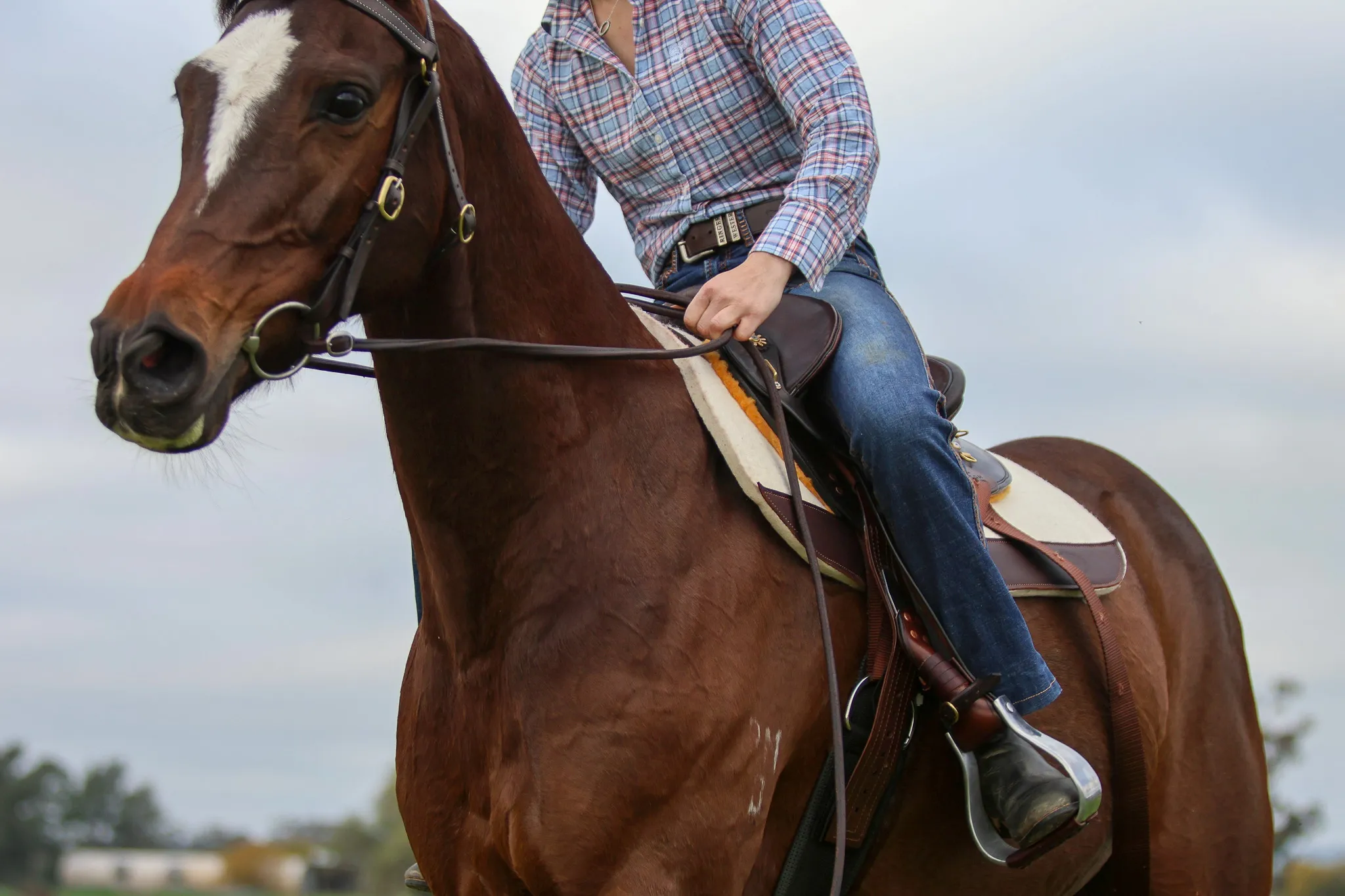 Mathew Murray Latigo Reins - Image 3