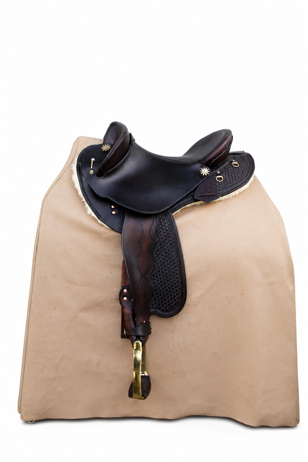 The Dressage Fender