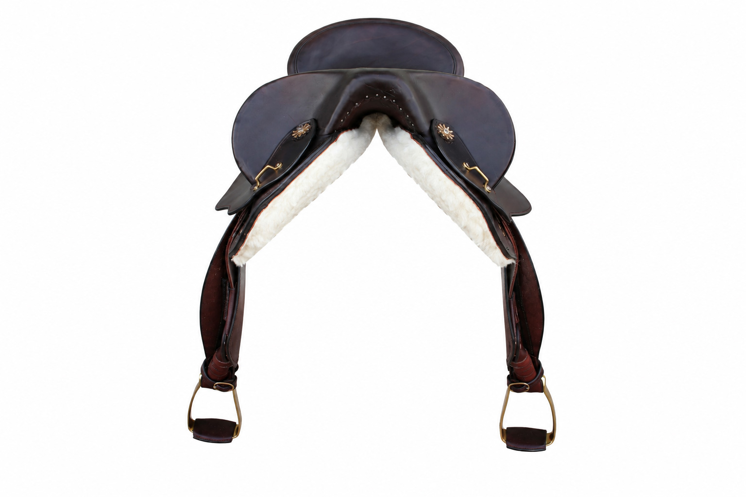 The Dressage Fender - Image 9