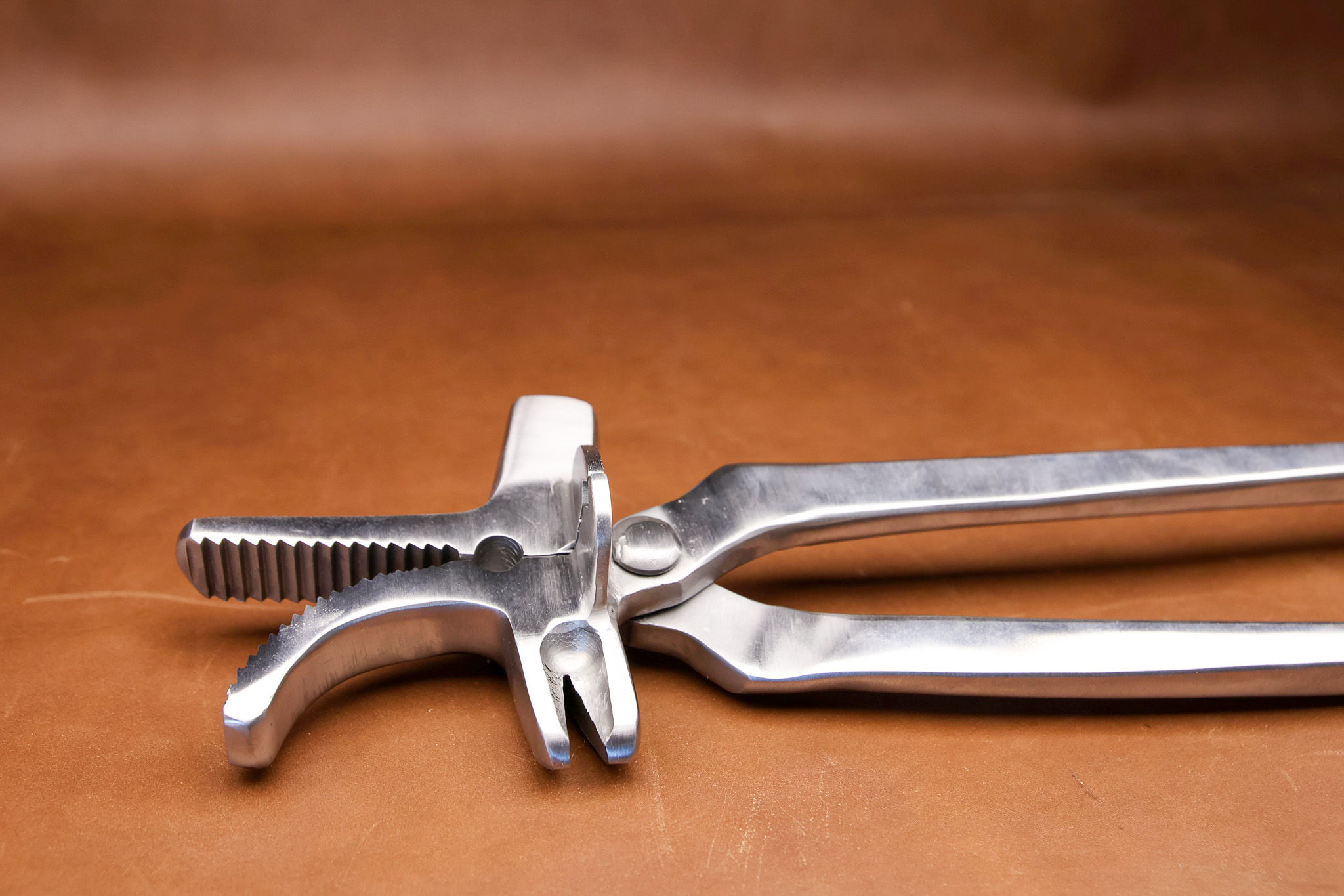 Riverina 5-in-1 Farrier Tool - Image 4